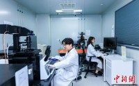 青年博士的科研路：在深耕中凝练方向 在思辨中突破桎梏