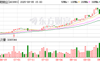 洛阳钼业的豪赌：管理层“换血” 逆周期海外并购